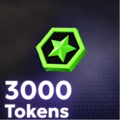 3000 Tokens